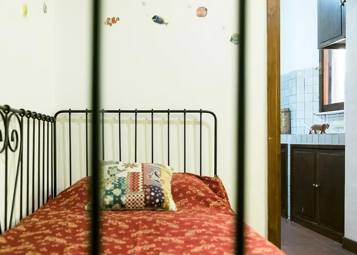 Bed & Breakfast Signor Colosseo